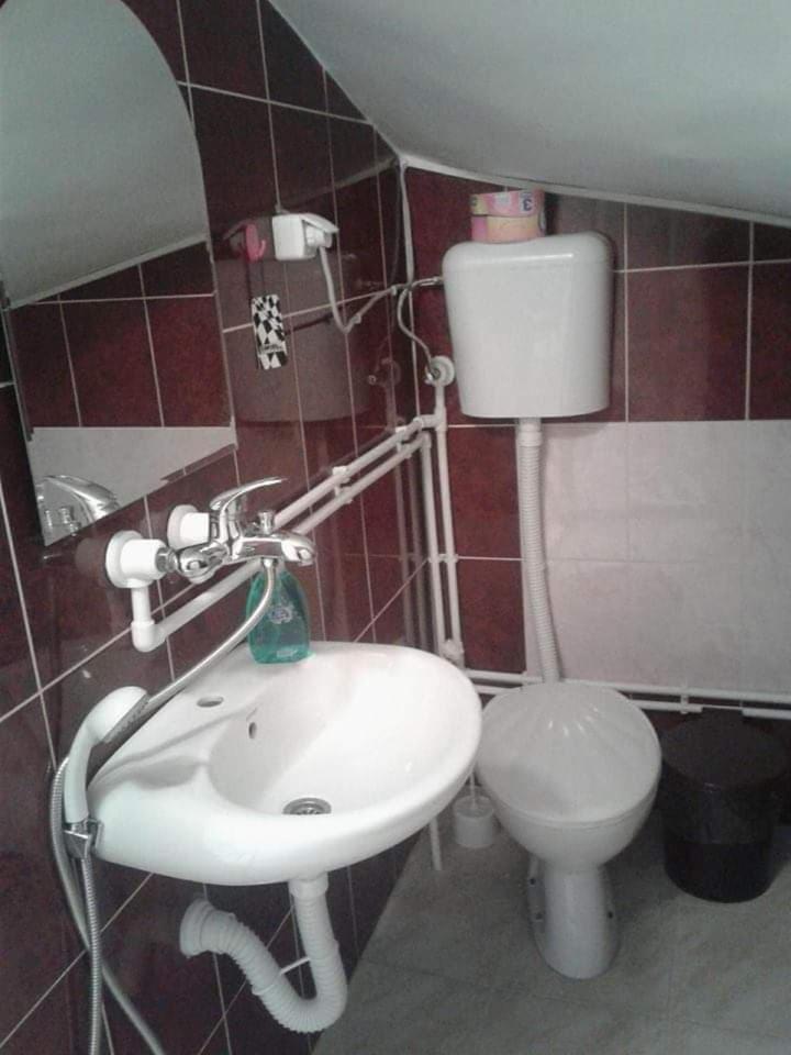 Privatan Smestaj Knjazevac 外观 照片